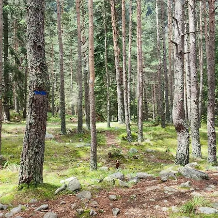 Boro 贝利伊斯库尔