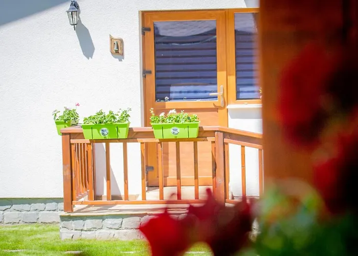 Boro Willa Beli Iskar